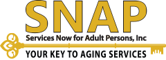 Services Now for Adult Persons